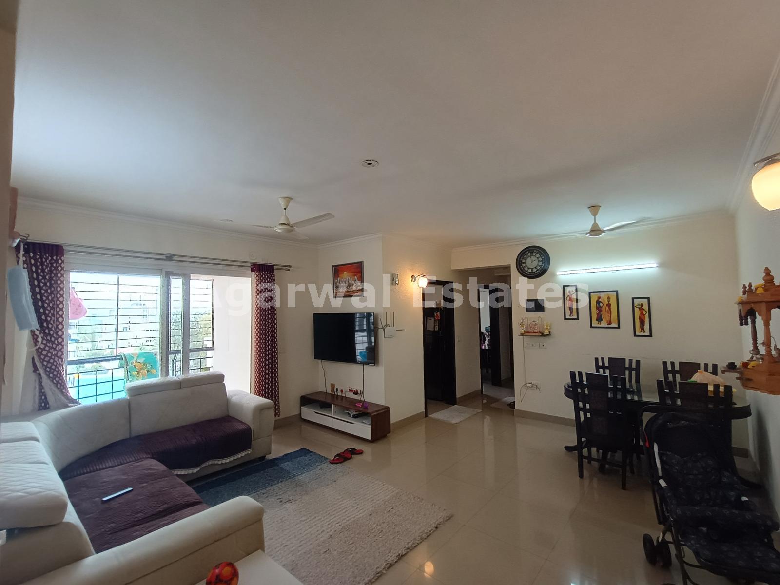 Purva Venezia