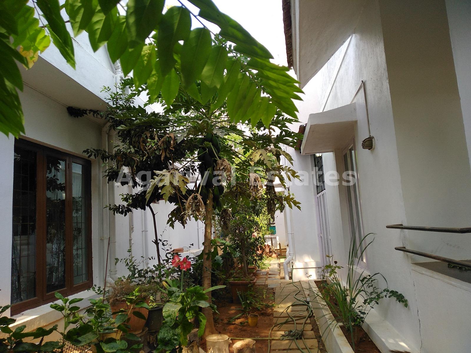 4 BHK Residential Independent House / Villa for Rent in Whitefield, Bangalore East - 3